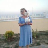 Кафия, 67 лет из г. 