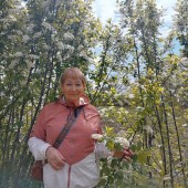 Сафия, 66 лет из г. 