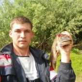 Денис, 31 год из г. 