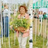 Мавлида, 71 год из г. 