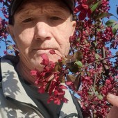 Рамиль, 55 лет из г. 