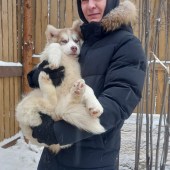 Радик, 36 лет из г. 