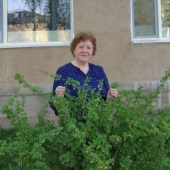Лиля, 66 лет из г. 