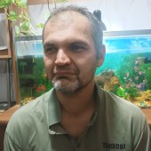 Шевкет, 42 года из г. 