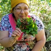 Раися, 66 лет из г. 