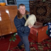 Али, 61 год из г. 